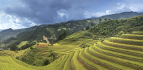 How farming spread globally in prehistoric times to supplant hunting and gathering